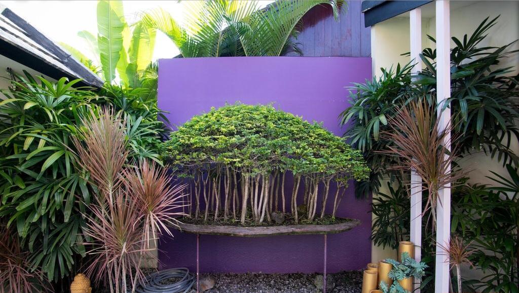 Bonsai Villas Семиньяк Номер фото